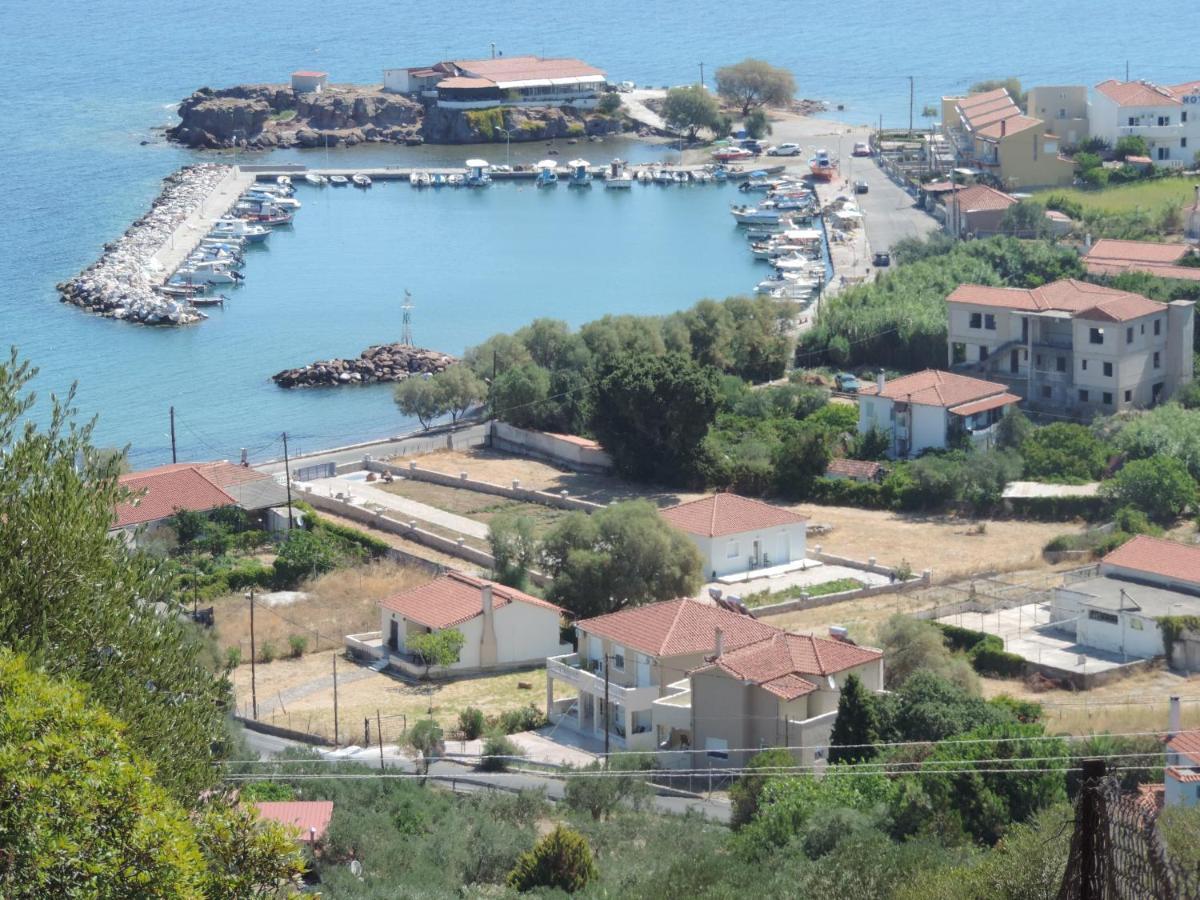 Fotis Apartments Skala Neon Kydonion Eksteriør bilde
