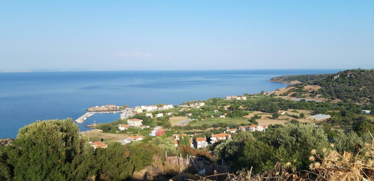 Fotis Apartments Skala Neon Kydonion Eksteriør bilde